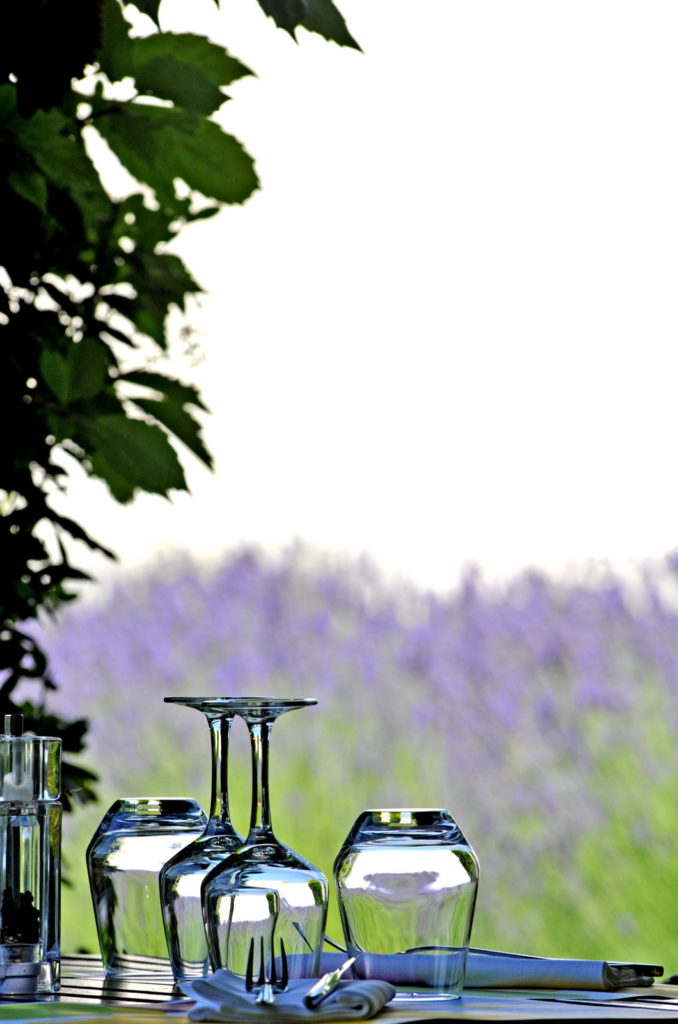 Two upended wine glasses in foreground; lavender fields background