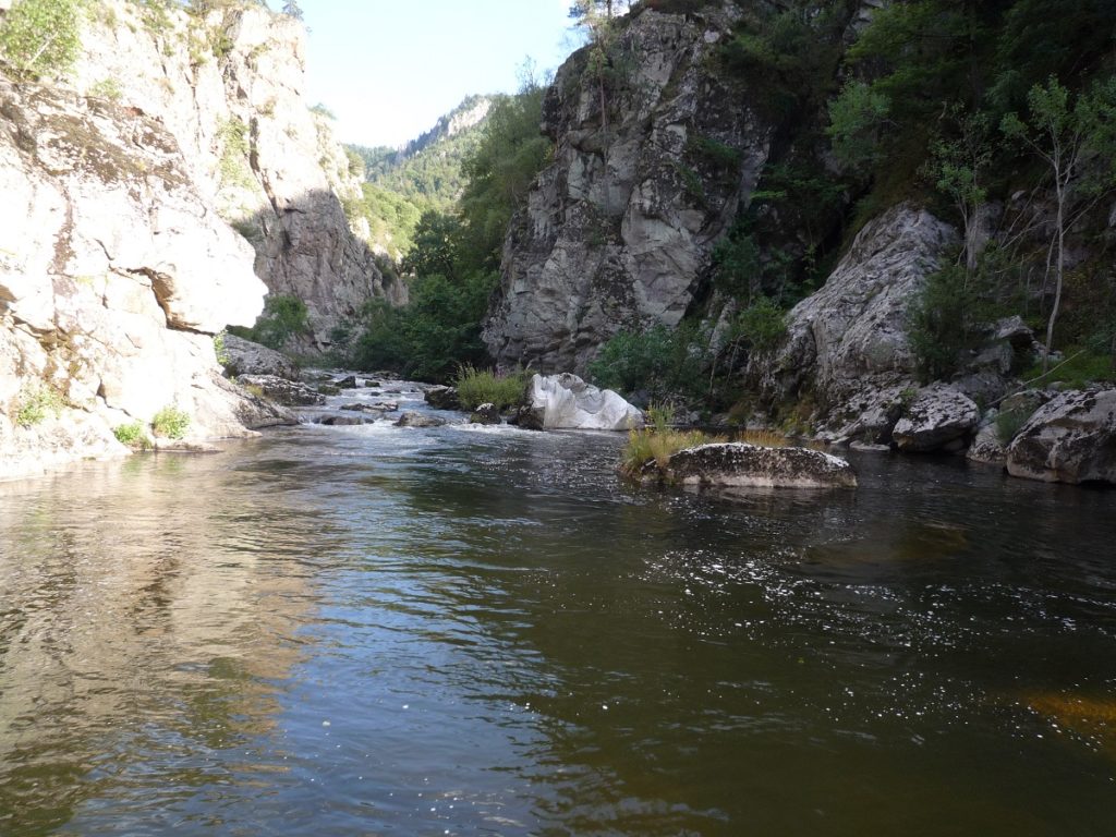 The Allier river in France within the gorges with steep sides and vegetation and gently flowing river
