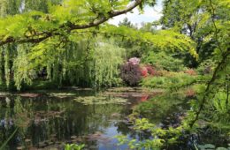 claude MOnet's gardens at Giverny with pond, weeping willow and green foliage and trees dipping into the water