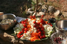 Provence crudites with tomatoes, cauliflower, carrots on a plate on a wooden table with rustic backgroundfresh tomatoes,