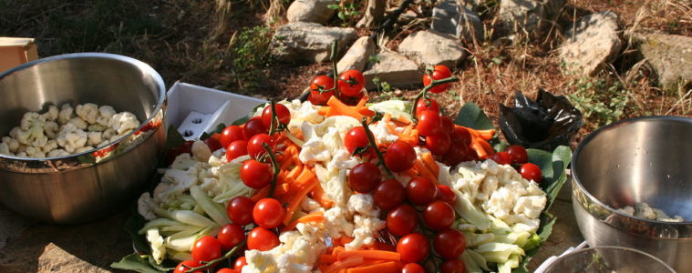 Provence crudites with tomatoes, cauliflower, carrots on a plate on a wooden table with rustic backgroundfresh tomatoes,