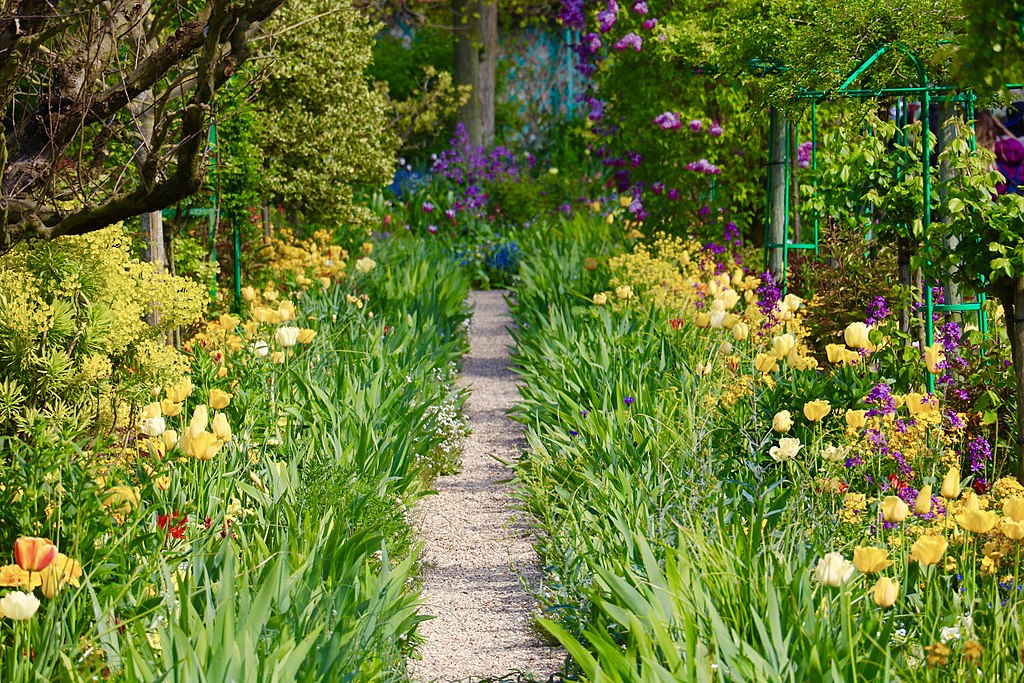spring garden at Giverny with path between beds of daffodils