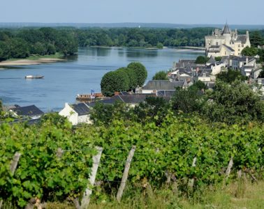 Overhead view of Loire Montsoreau in Anjou with viens in front, castle to right and Loire in background