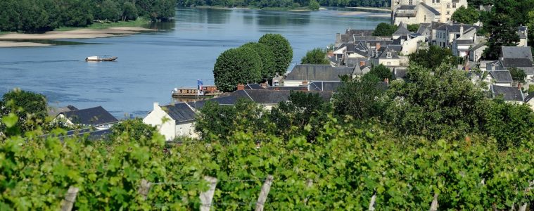 Overhead view of Loire Montsoreau in Anjou with viens in front, castle to right and Loire in background