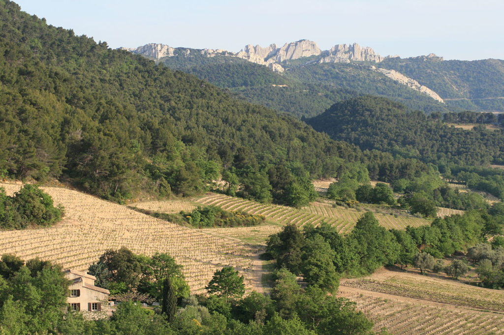 Cote du Rhone vineyards Montmirail long view with mountains in background, green and yellow fields and vines in front