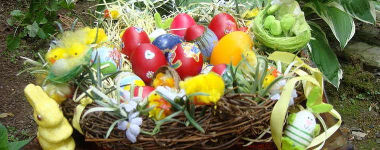 Very colourful Easter eggs with pretty twigs and leaves around