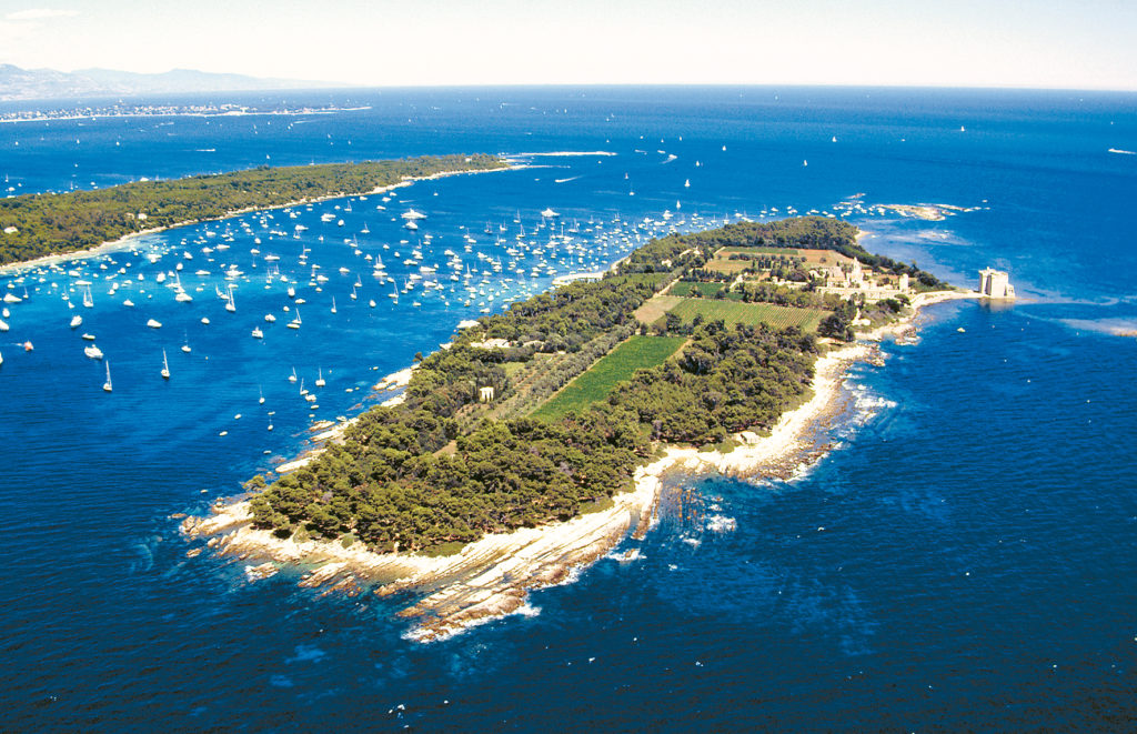 Aerial view of Dt Honorat with sea full of yachts