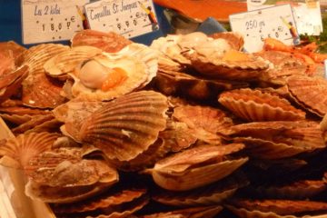scallops on sale on market stall