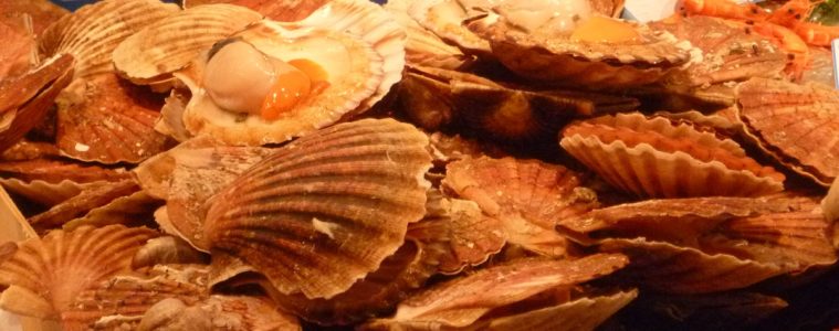 scallops on sale on market stall
