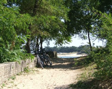 Delightful shot looking down a shaded sandy path with trees on one side and bicycles towards the sea on Ile de Ré