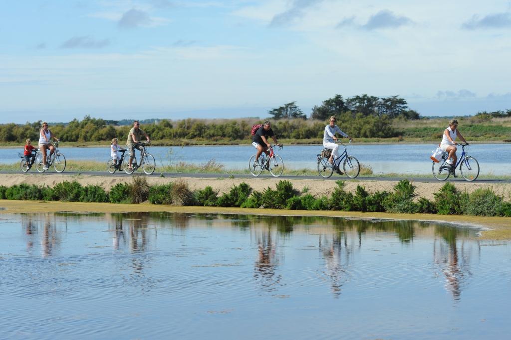 People cycling on sandy path between two stretches of water with their reflections in the front in the water