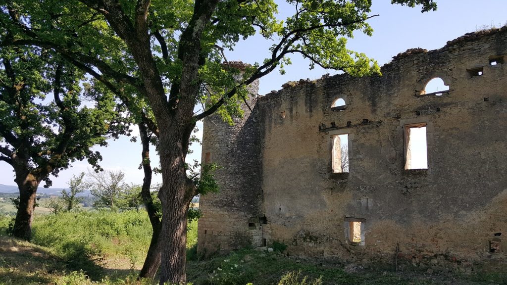 Ruins of the Chateau de Montfa in park with tree in front