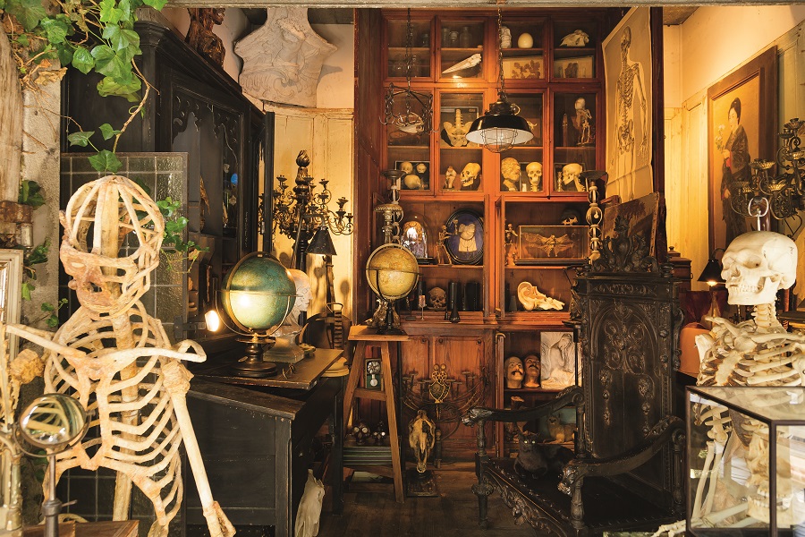Puces de Saint-Ouen flea market showing small shop stuffed with items including a skeleton at front, cupboard at back with skulls and globes free standing on floor