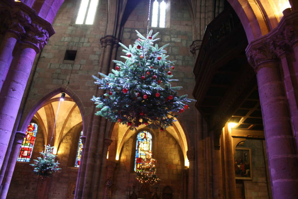 Fir trees suspended in Selestat church, one hanging in the nave decorated for Christmas