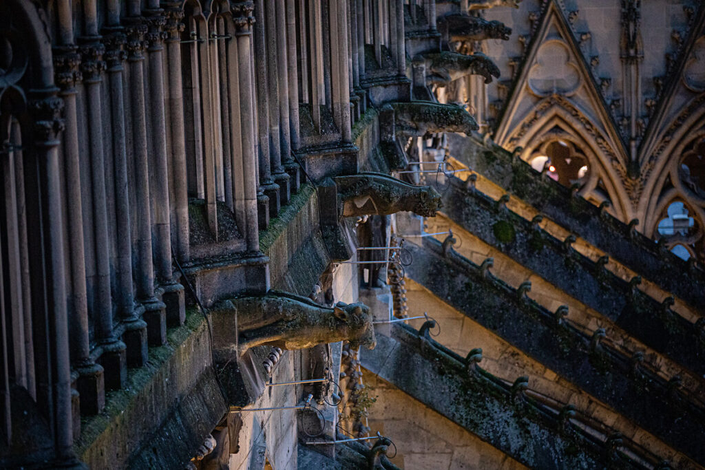 View from roof of Reims cathedral looking down onto gargoyles and flying buttresses