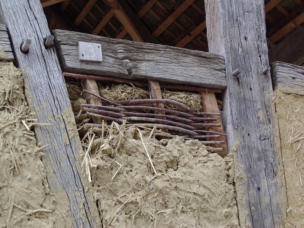 Half timbered frame with cob infill of straw and wet clay on paling structure
