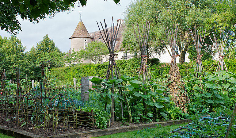 Vegetables at the Prieuré d’Orsan showing old chateau in background with round conical roof and in front perfect potager, or vegetable garden