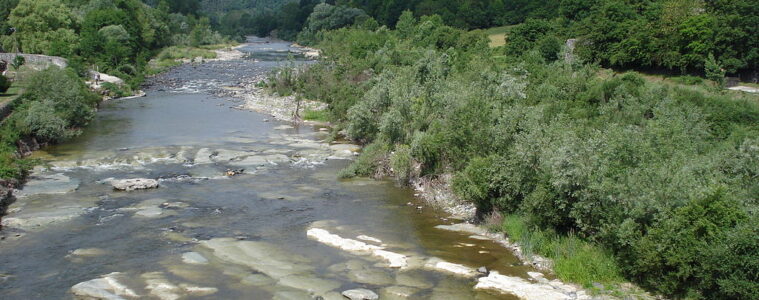 Looking down onto the Loire, with shallow rapids and bankd on two sides at Coubon