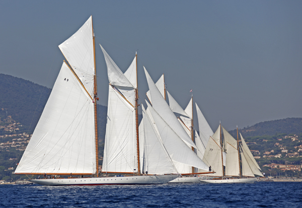 Old sailing yachts lined up all with white sails unfurled in waters off voiles of St Tropez