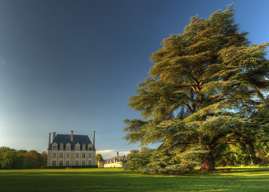 Beauregard Chateau showing chateau square building in distance and huge park in front with large tree