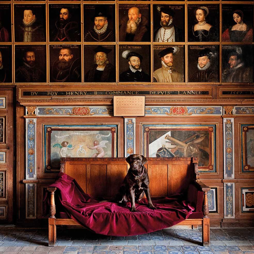 Château de Beauregard Portrait Gallery showing dog sitting on sofa with red velved covering and behind him above 2 rows of portraits