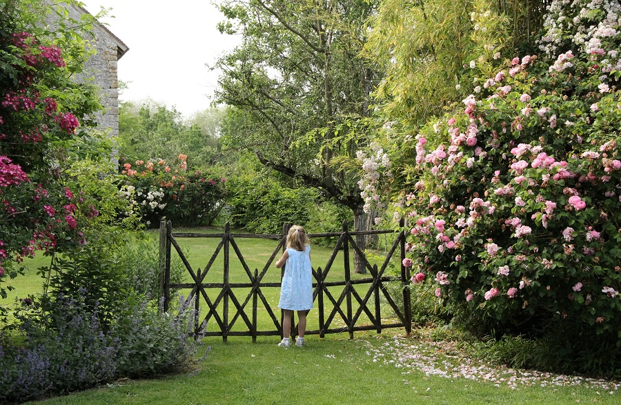 Jardins de roquelin with little girl looking over iron gate at lawn and trees beyond and rose bushes in pink flower toright