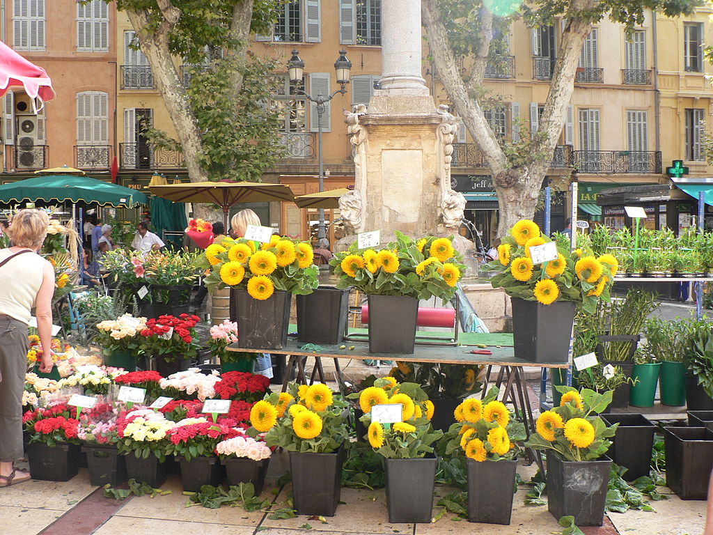 huge bunches of yellow sunflowers and other red and yellow plants in buckets at market at aix en provence with column behind in square with ochre houses