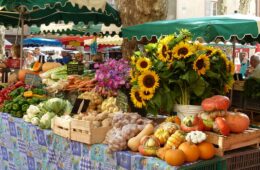 Very colourful stalls at Avignong market with green and white umbrellas above tables piled high with orange squash, sunflowers, garlic and more