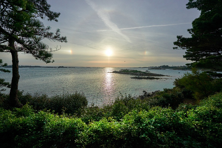 Georges Delasalle garden on Ile de Batz Brittany island with sun setting over horizon on sea, and greenery and trees in foregound