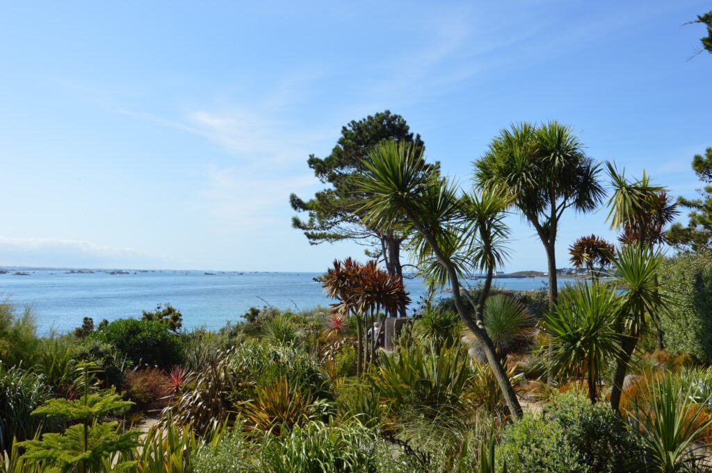 Georges Delasalle garden on Ile de Batz Brittany islands showing tropical trees on high green ledge with sea in background