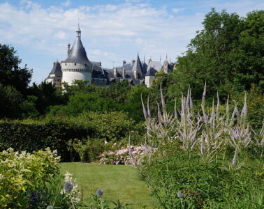 Chateau de chamont-sur-Loire with gardens in front with lawns, plants and hedges and turrets of the chateau peeking over the top in back