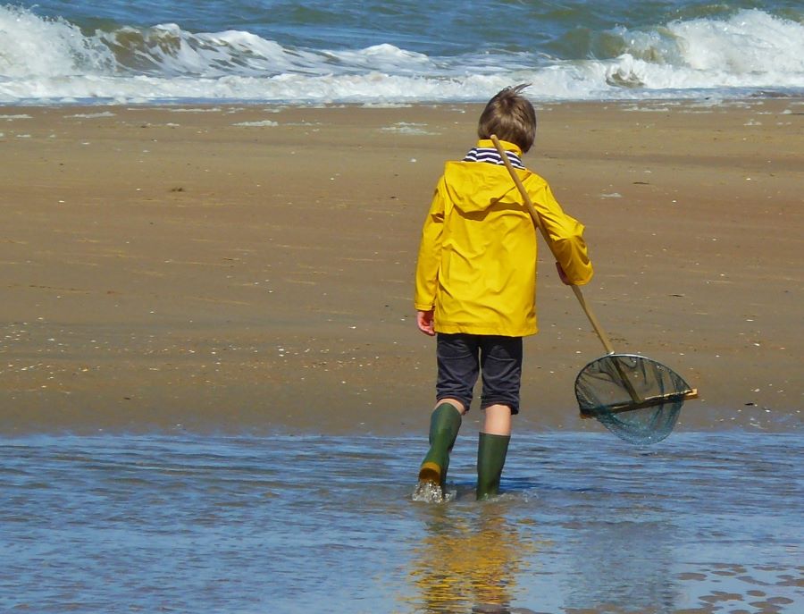 Child with shorts, wellington boots and yellow jacket in water with shrimping net and sand between child and sea surf