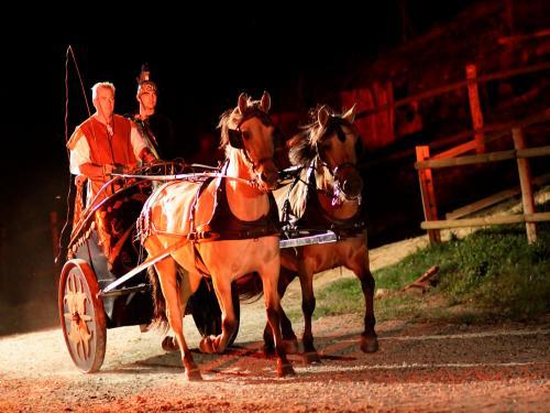 Bridiers Festival with 2 men in medieval costume in cart pulled by two high stepping horses