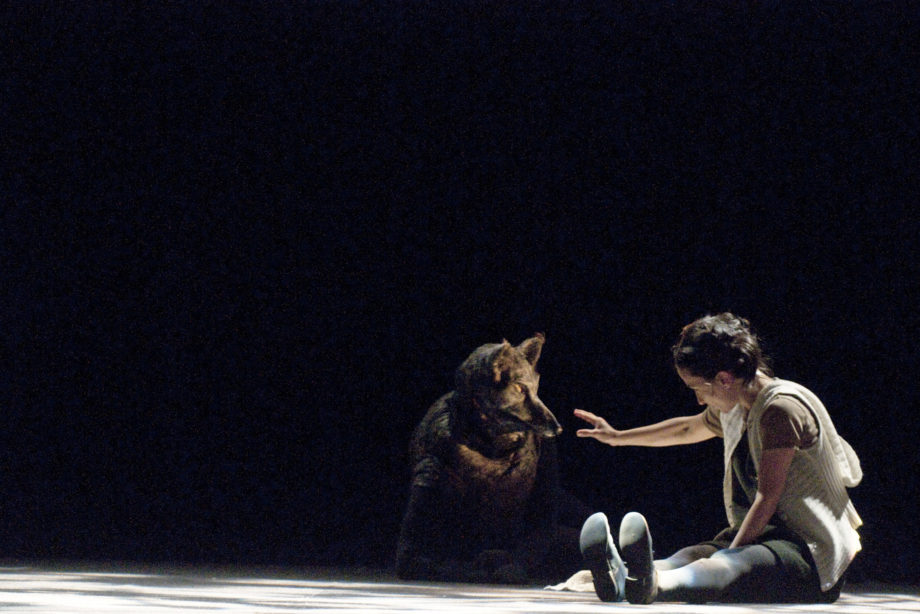 Little Red Riding Hood play at Anjou Festival with girl on stage holding out hand to seated wolf