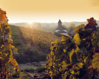 epernay vineyards in autumn. Long view with orange and red vines and church in distance with sun just appearing over horizon
