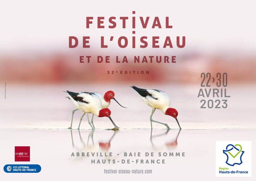 Festival de l'Oiseau 2023 poster with drawings of two birds picking at sand and details of date etc written