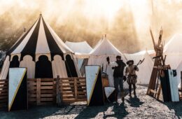Le Puy en Velay Bird Festival with black and white small pavillions in dusk light and costumed characters