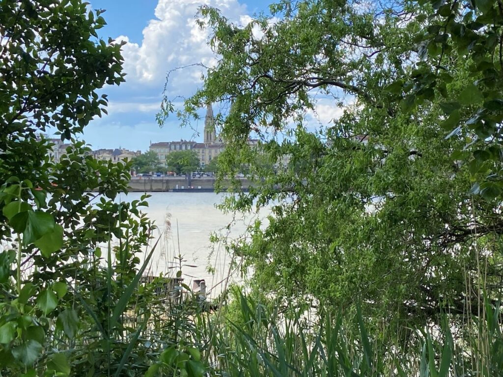 View of Bordeaux from Darwin with trees in foreground then river then Bordeaux quays