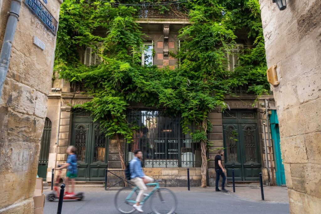 Male bicyclist on road past old building with ivy up wall in Bordeaux