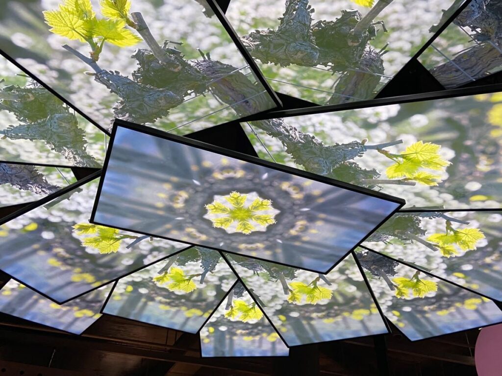 Cite du vin with glass ceilingwith pictures of spring flowers and buds