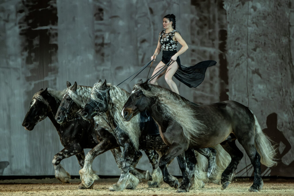 Bordeaux horse show withone lady balanced on back of two horses and controlling four