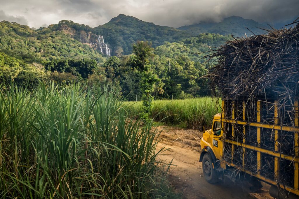 Photo of truck in mountainous, tropical country. La Gacilly 2026