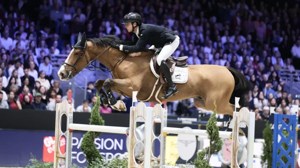 Horse and rider jumping over high fence at Salon du cheval Paris